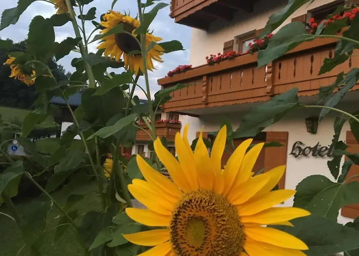 Szálloda Alpenhotel Weiherbach Hallenbad Und Sauna