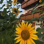 Hotell Alpenhotel Weiherbach Hallenbad Und Sauna