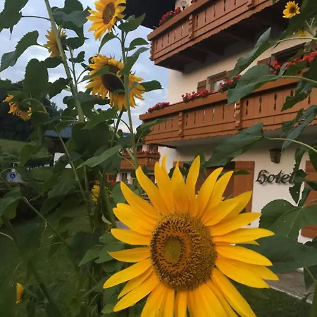 Ξενοδοχείο Alpenhotel Weiherbach - Hallenbad Und Sauna