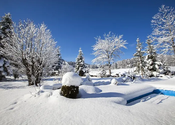 Hotel Alpenhotel Weiherbach Hallenbad Und Sauna 3*