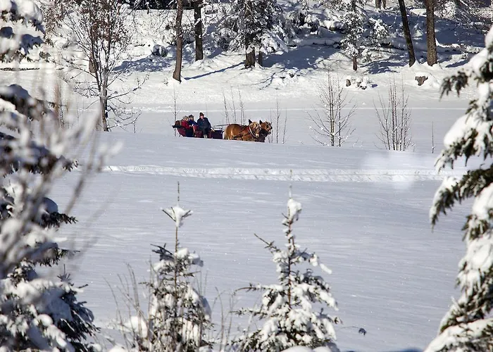 Alpenhotel Weiherbach Hallenbad Und Sauna Otel